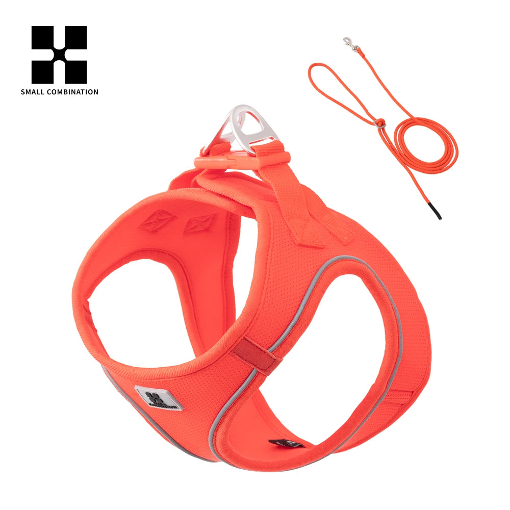 Adjustable Reflective Leash and Harness Set for Small to Medium Dogs, Suitable for Puppies and Cats, Ideal for Outdoor Walks, Compatible with Chihuahuas and Dachshunds