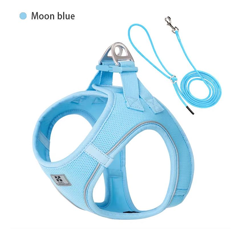 Adjustable Reflective Leash and Harness Set for Small to Medium Dogs, Suitable for Puppies and Cats, Ideal for Outdoor Walks, Compatible with Chihuahuas and Dachshunds