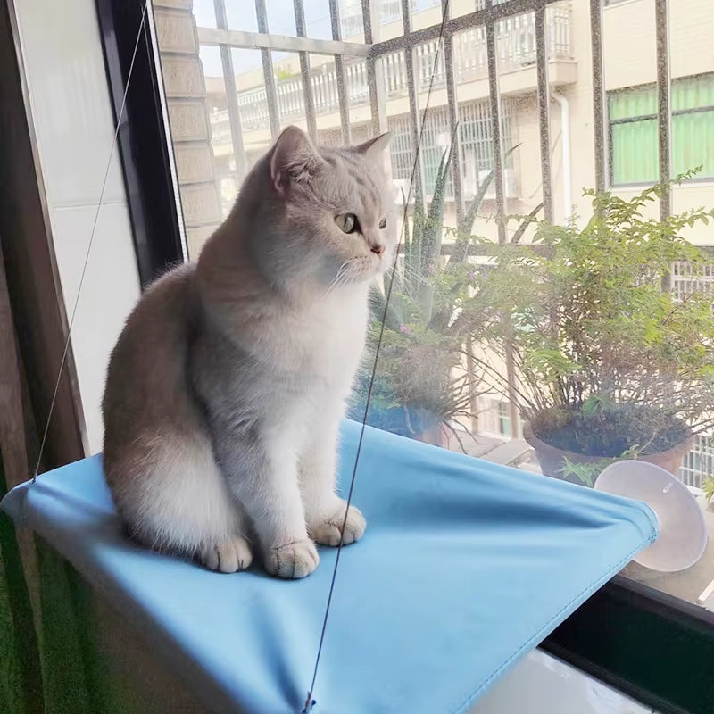 Nuova Amaca per Gatti, Letto Sospeso per Gatti, Capacità 20 Kg, Comoda Postazione per Finestra, Struttura per Arrampicata per Gattini, Accessori per Animali Domestici