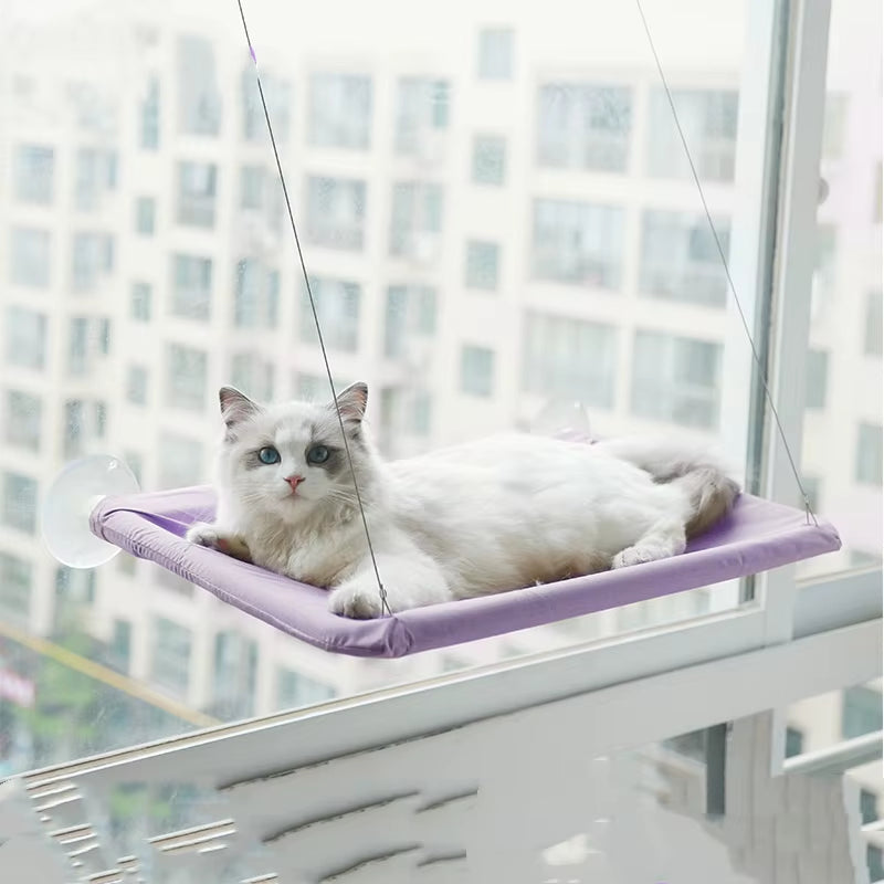 Nuova Amaca per Gatti, Letto Sospeso per Gatti, Capacità 20 Kg, Comoda Postazione per Finestra, Struttura per Arrampicata per Gattini, Accessori per Animali Domestici