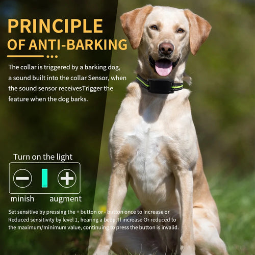 Collare Elettronico Automatico per Controllo Abbaio dei Cani, Dispositivo Ultrasuoni e a Scossa per Animali Domestici, Recinto Virtuale per Cani