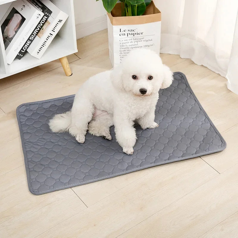Tappetino Riutilizzabile Assorbente per Cani, Pannolino Lavabile per Addestramento Cuccioli, Tappetino per Urina per Animali Domestici e Coprisedile Auto, Accessori per Animali Domestici