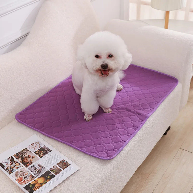 Tappetino Riutilizzabile Assorbente per Cani, Pannolino Lavabile per Addestramento Cuccioli, Tappetino per Urina per Animali Domestici e Coprisedile Auto, Accessori per Animali Domestici