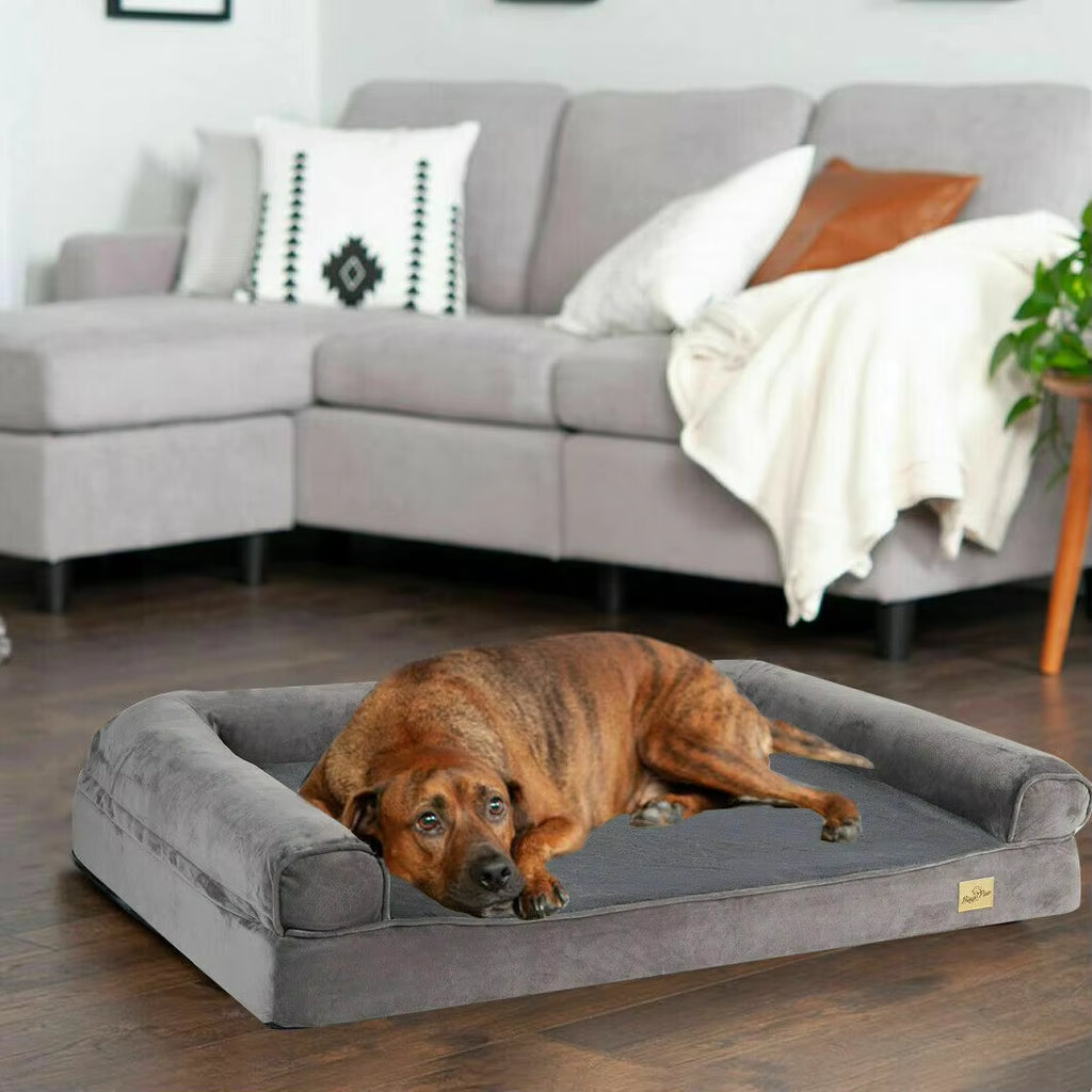 Letto Ortopedico XXL per Cani con Fodera Lavabile e Supporto Accogliente