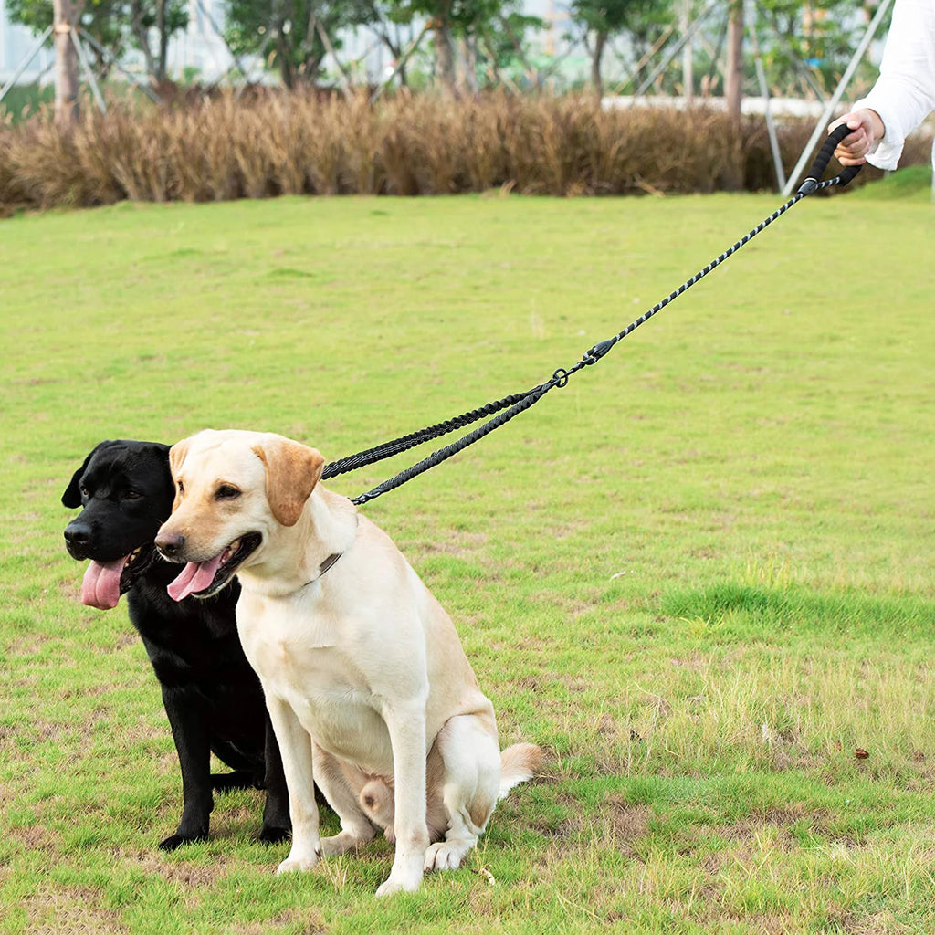 Guinzaglio Doppio in Nylon per Passeggiate con Due Cani, Inclusa Borsa per Rifiuti, Lunghezza 1,5 + 0,5 M