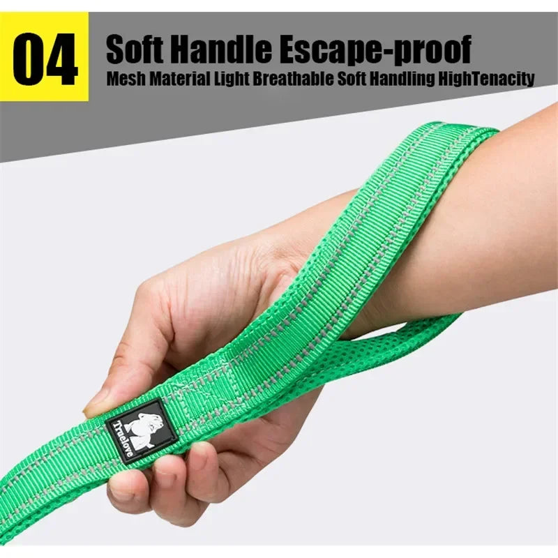 Truelove Soft Reflective Nylon Leash for Large Dogs and Cats, Padded, 200 cm, Available in 11 Colors, TLL2112 Dropshipping