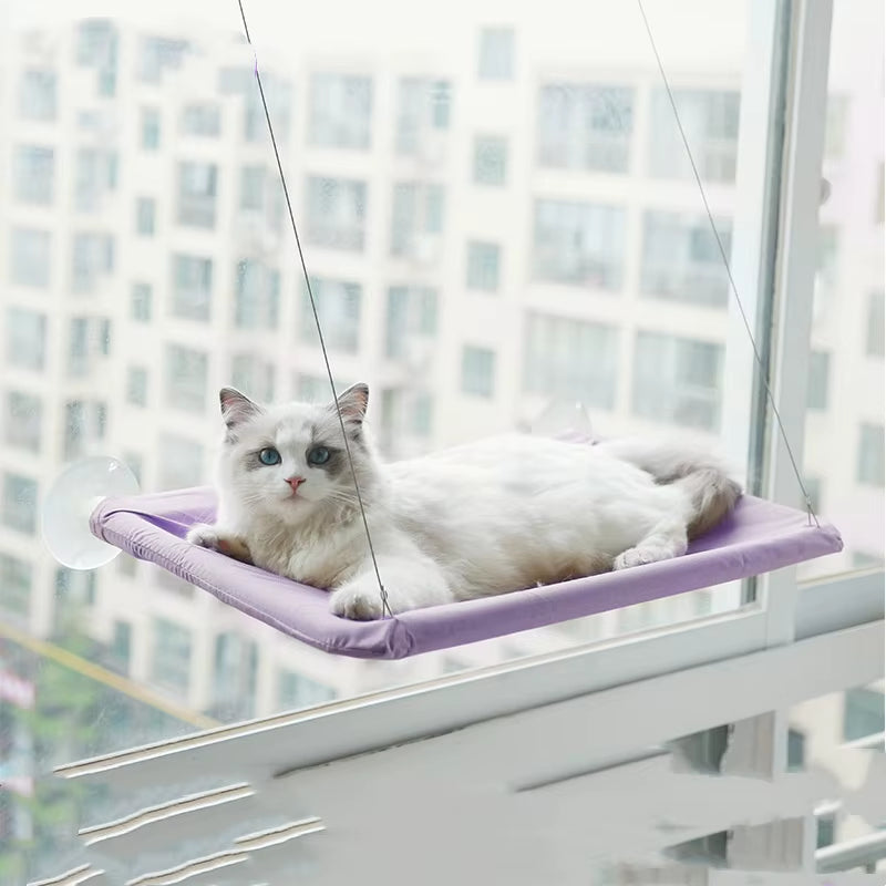 Nuova Amaca per Gatti, Letto Sospeso per Gatti, Capacità 20 Kg, Comoda Postazione per Finestra, Struttura per Arrampicata per Gattini, Accessori per Animali Domestici