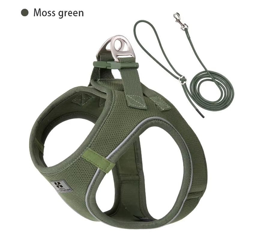 Adjustable Reflective Leash and Harness Set for Small to Medium Dogs, Suitable for Puppies and Cats, Ideal for Outdoor Walks, Compatible with Chihuahuas and Dachshunds
