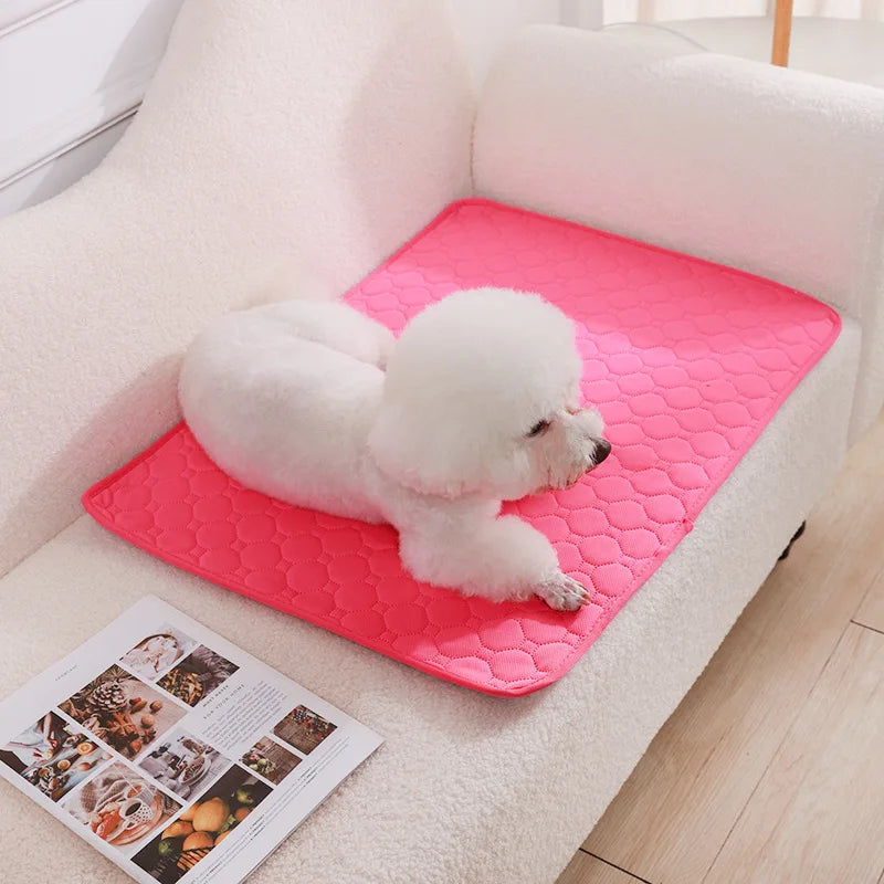 Tappetino Riutilizzabile Assorbente per Cani, Pannolino Lavabile per Addestramento Cuccioli, Tappetino per Urina per Animali Domestici e Coprisedile Auto, Accessori per Animali Domestici